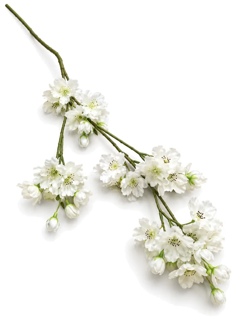 Silk Cherry Blossom Champagne