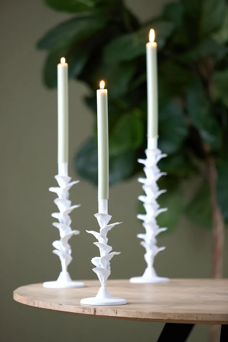 Parana Candle Stick