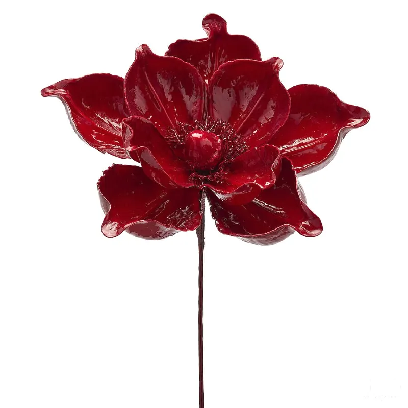 MAGNOLIA GLOSSY RAMO