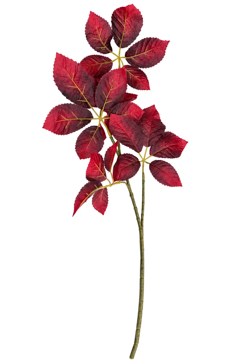 Silk Leaf Elder Dark Red