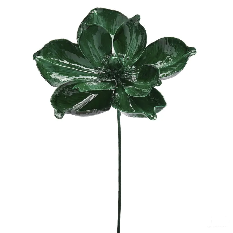 MAGNOLIA GLOSSY RAMO