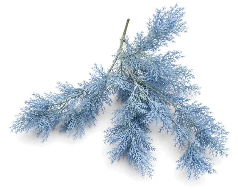 Branche Light Blue