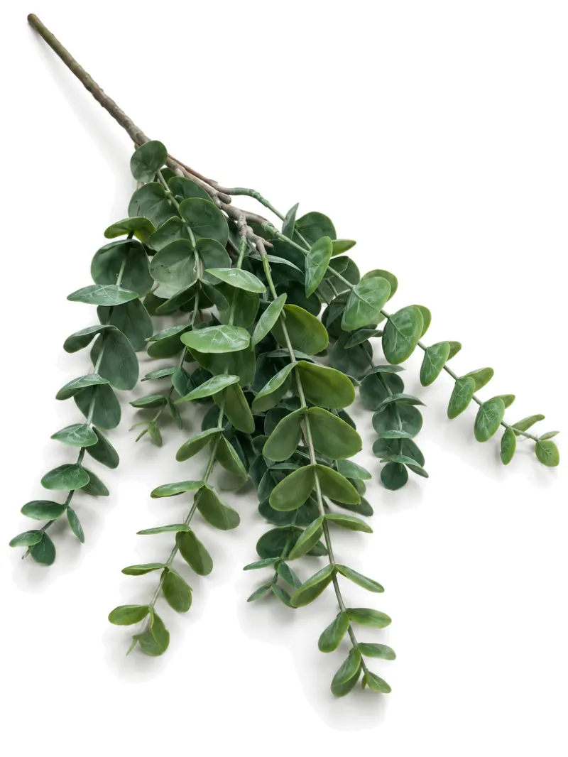 Silk Eucalyptus Green Stem
