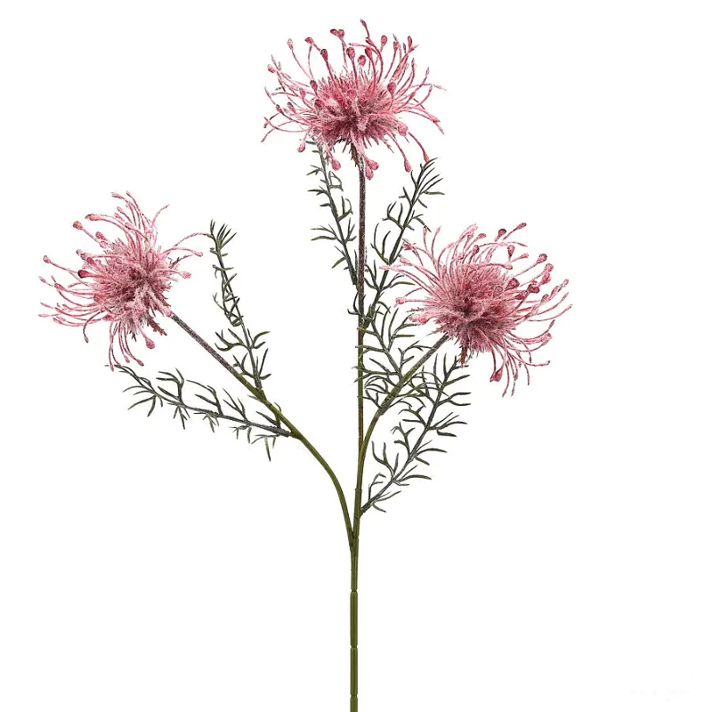 PROTEA RAMO X3 CON FOGLIE