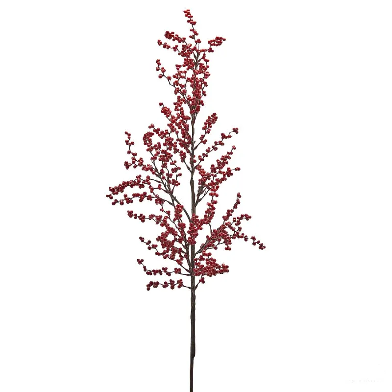 ILEX RAMO
