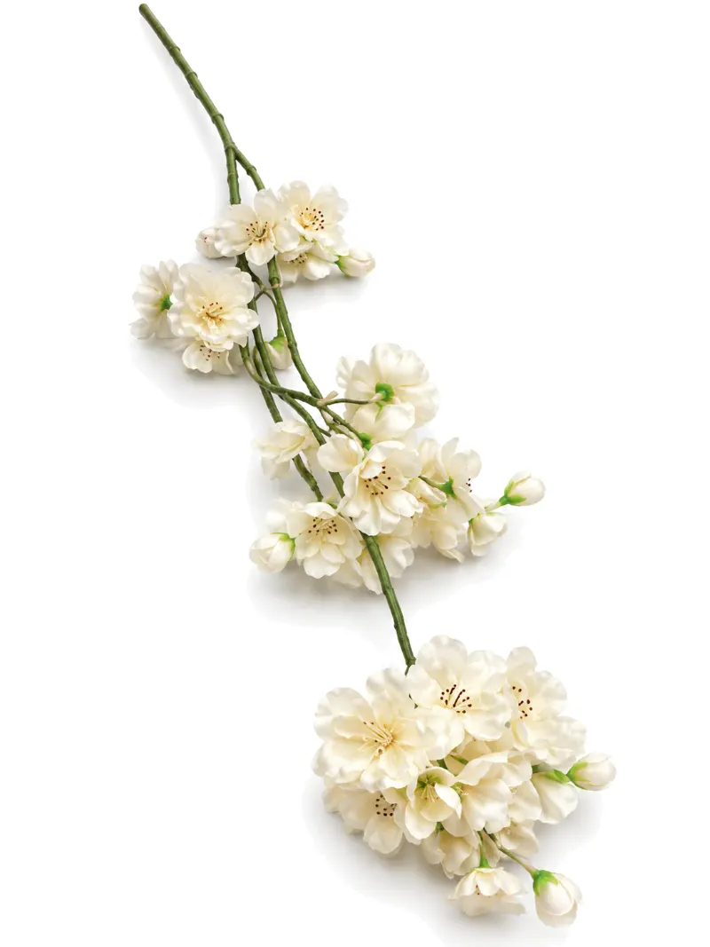 Silk Cherry Blossom Champagne thumbnail 2