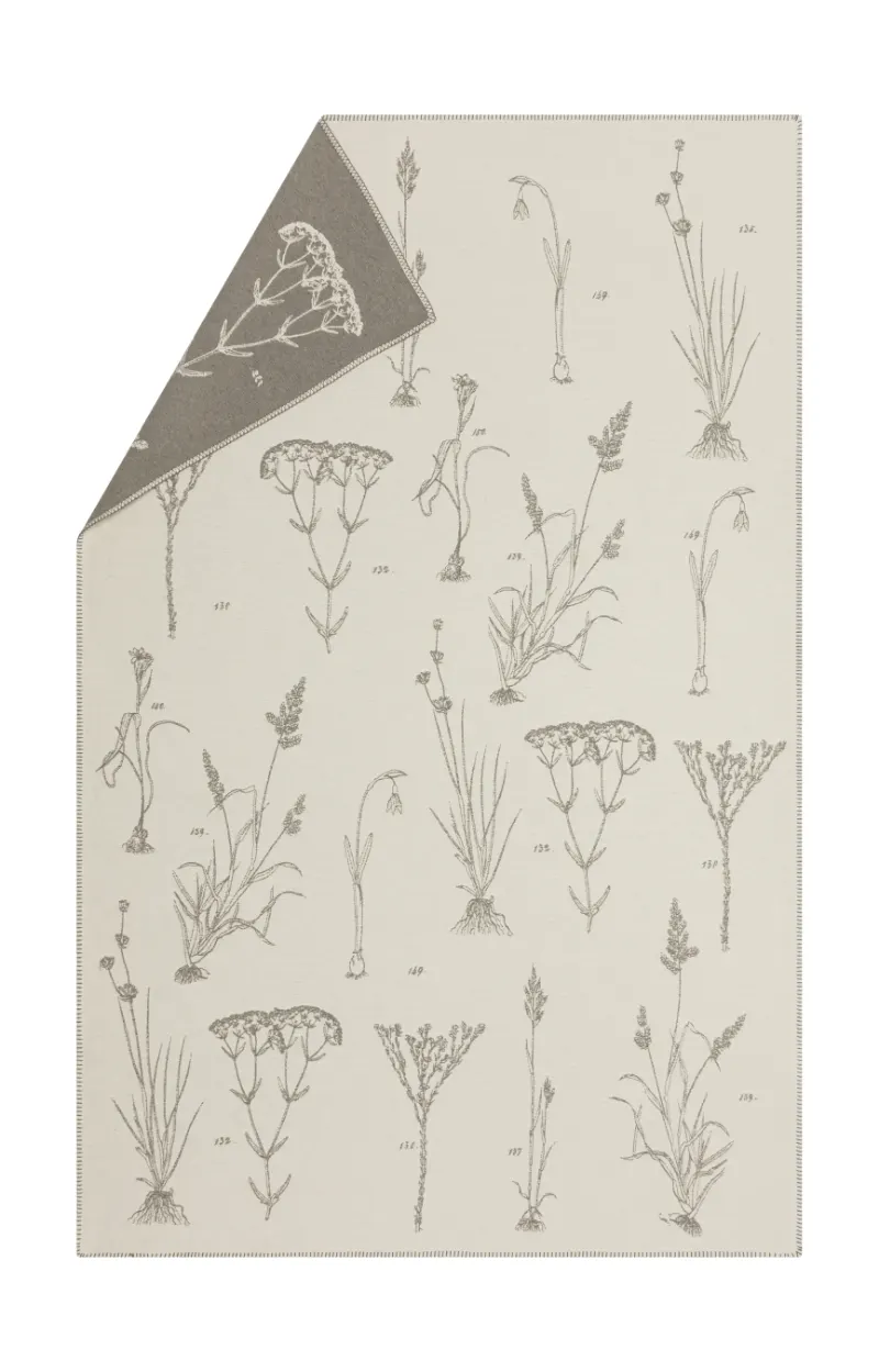 Nova Herbarium Cotton Throw thumbnail 2