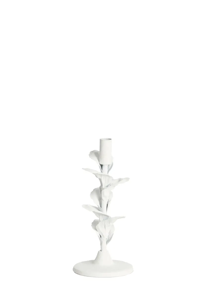 Parana Candle Stick thumbnail 2